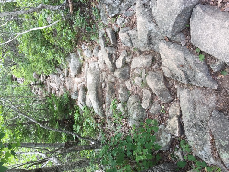 照片 04