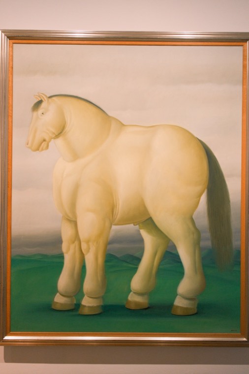 照片 20
