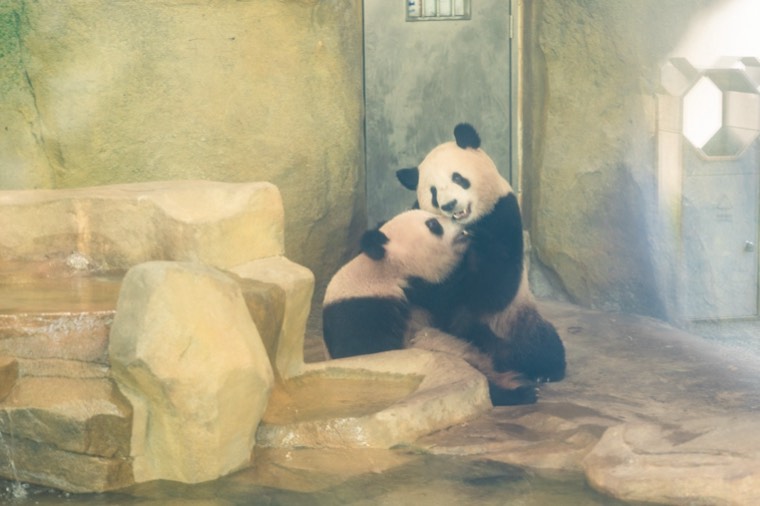 照片 15