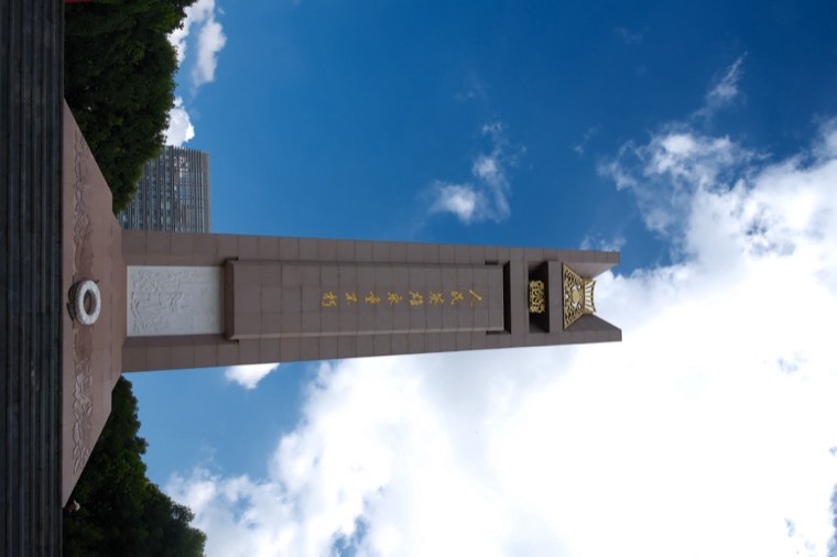 照片 11