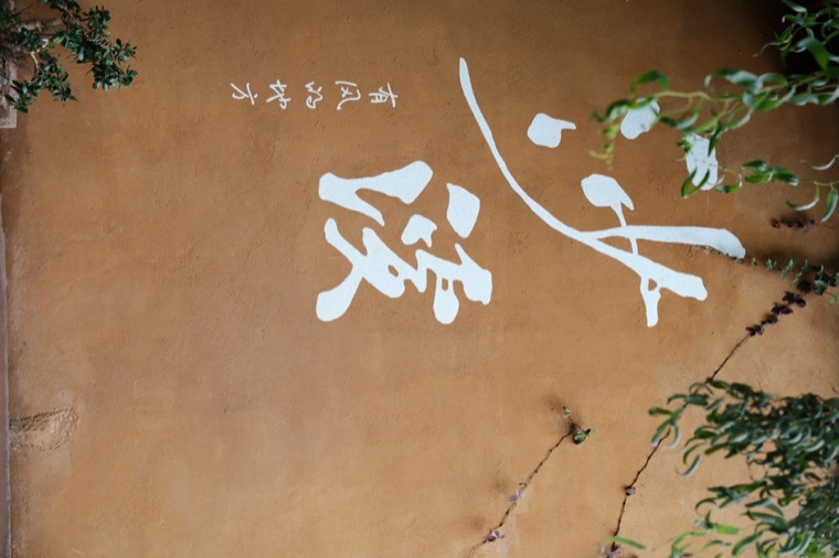 照片 13