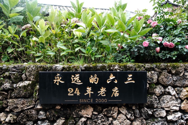 照片 37