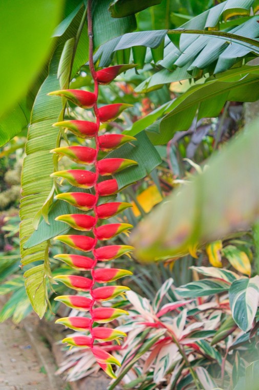 照片 23