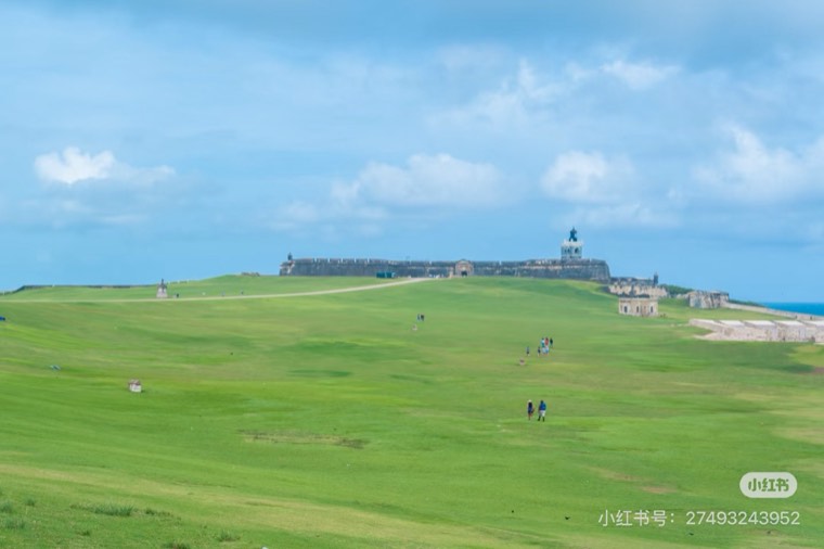 照片 37