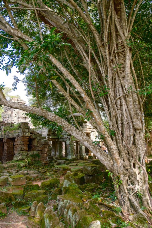 照片 23